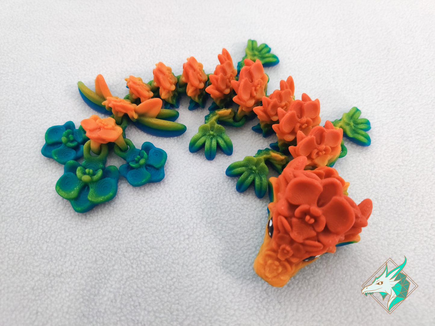 Orchideeën Draak - Baby & Jong