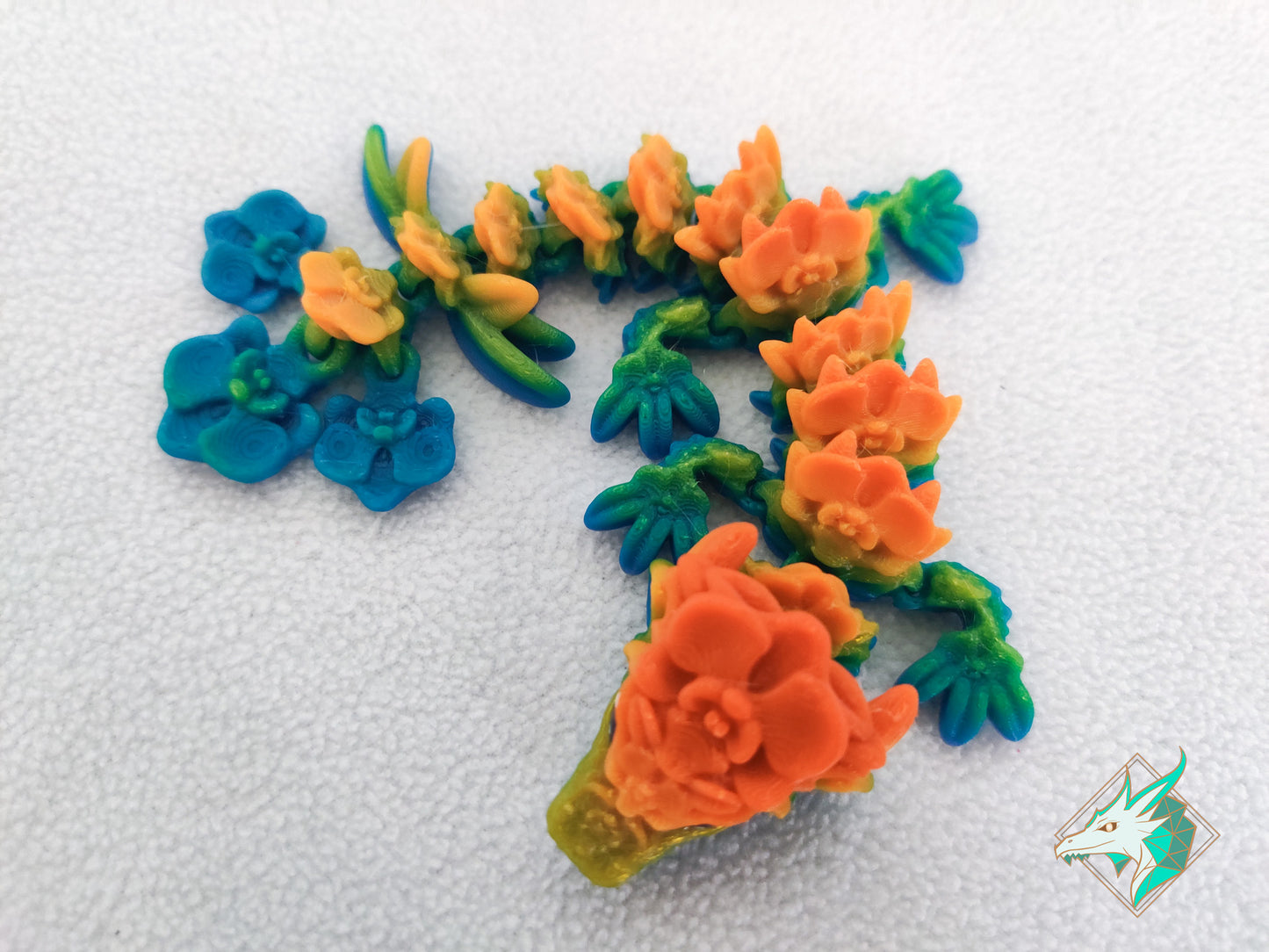 Orchideeën Draak - Baby & Jong