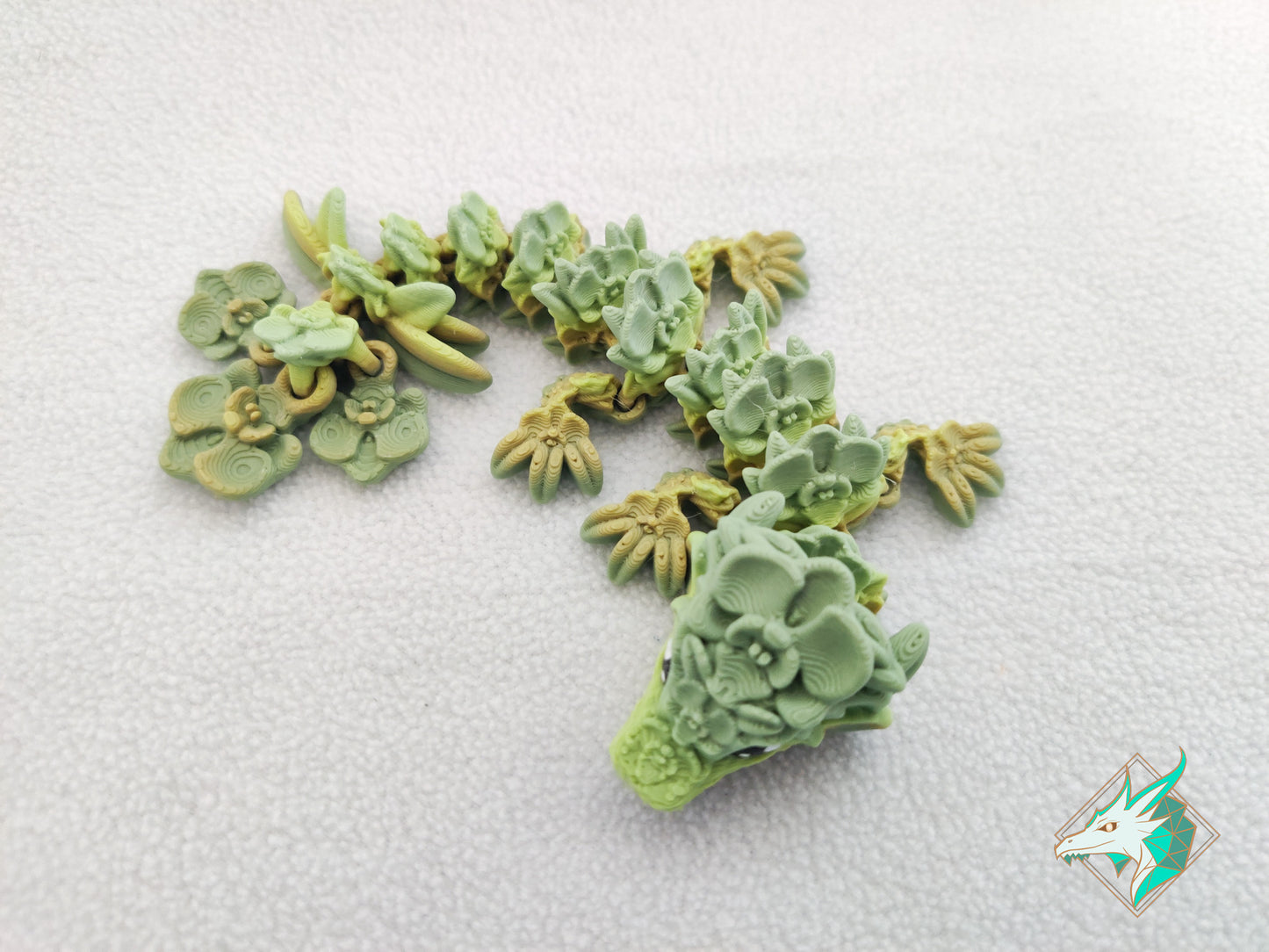 Orchideeën Draak - Baby & Jong