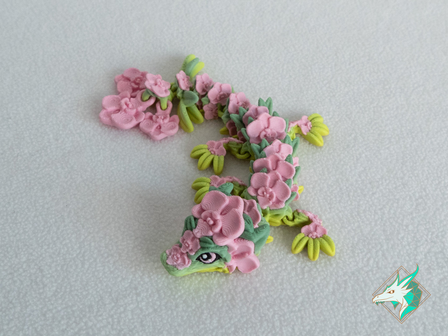 Orchideeën Draak - Baby & Jong