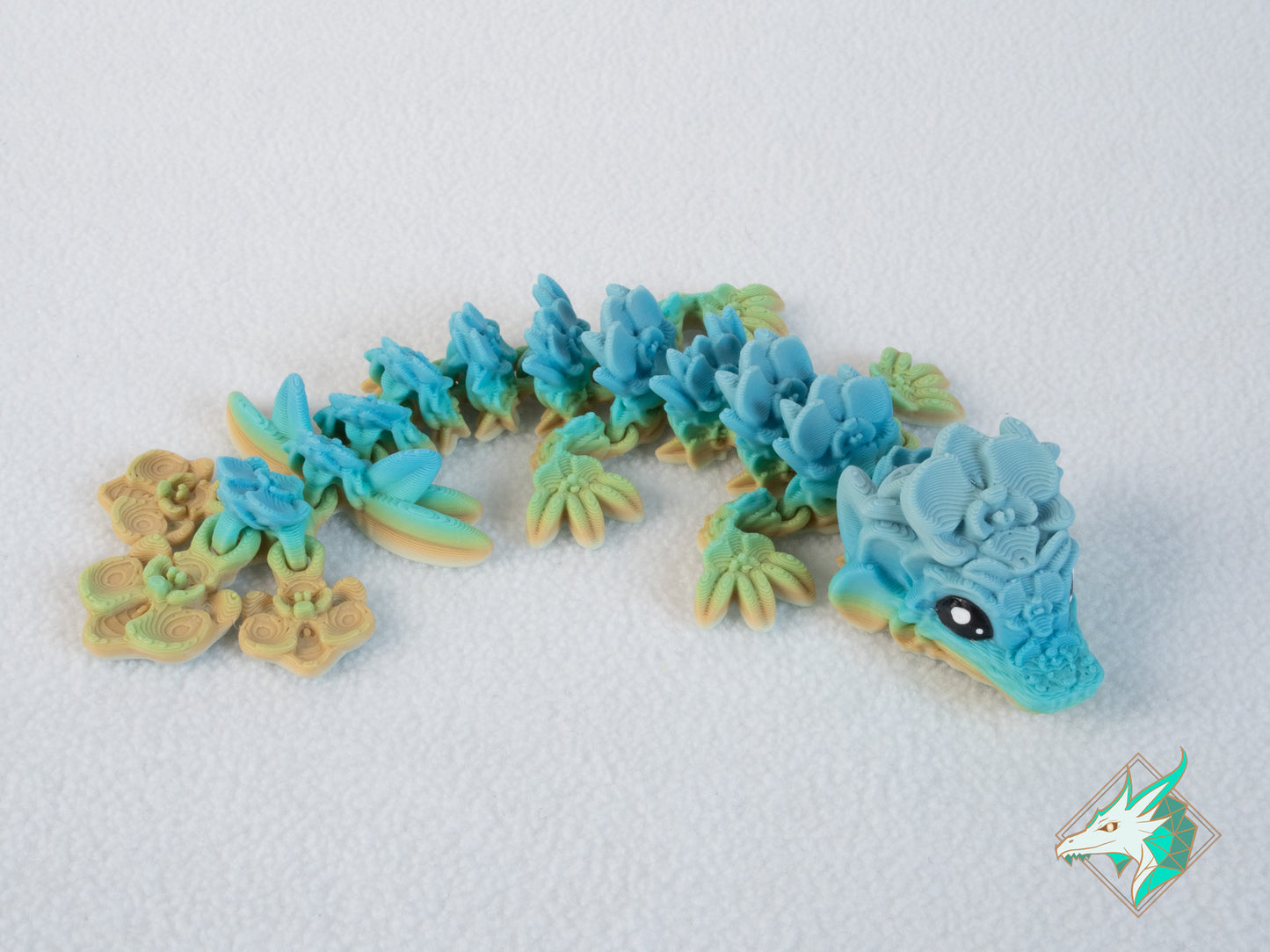 Orchideeën Draak - Baby & Jong