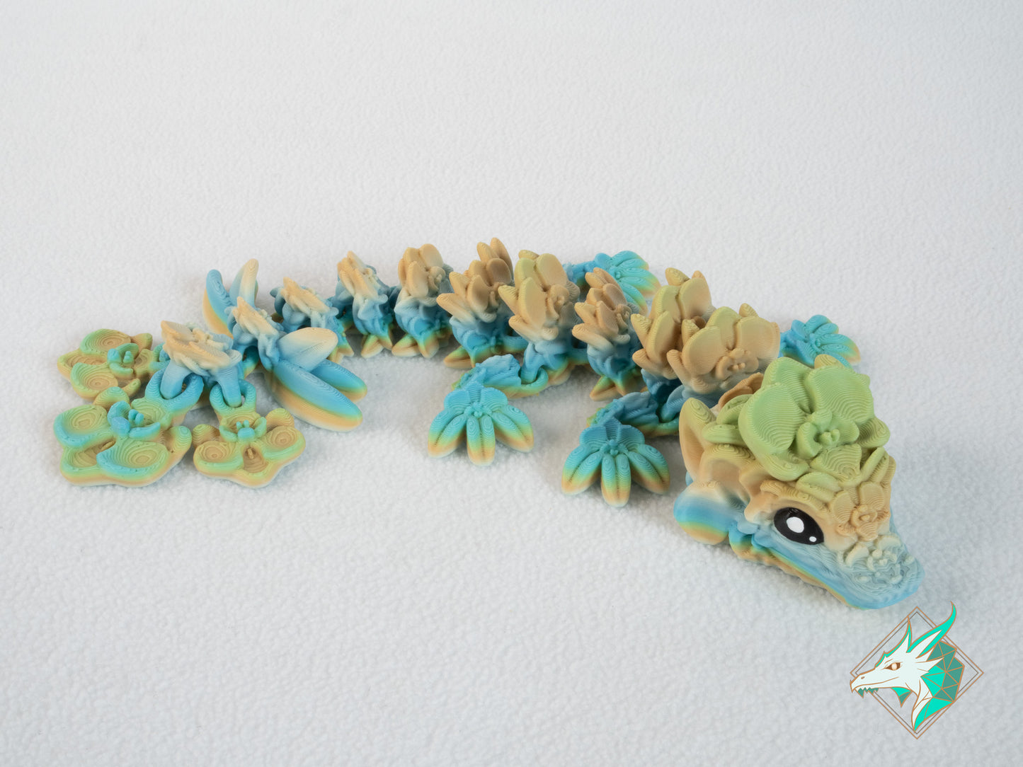 Orchideeën Draak - Baby & Jong