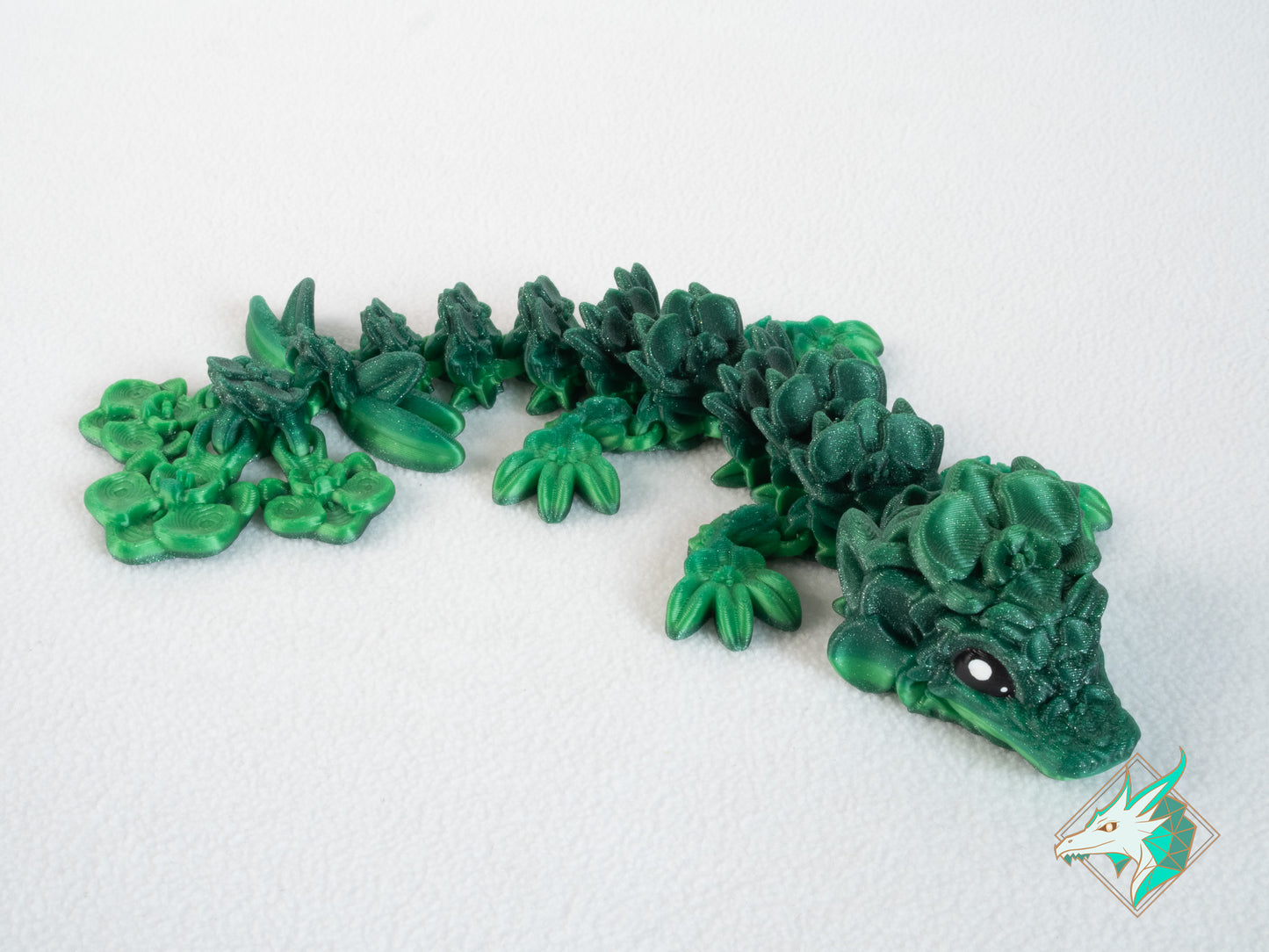 Orchideeën Draak - Baby & Jong