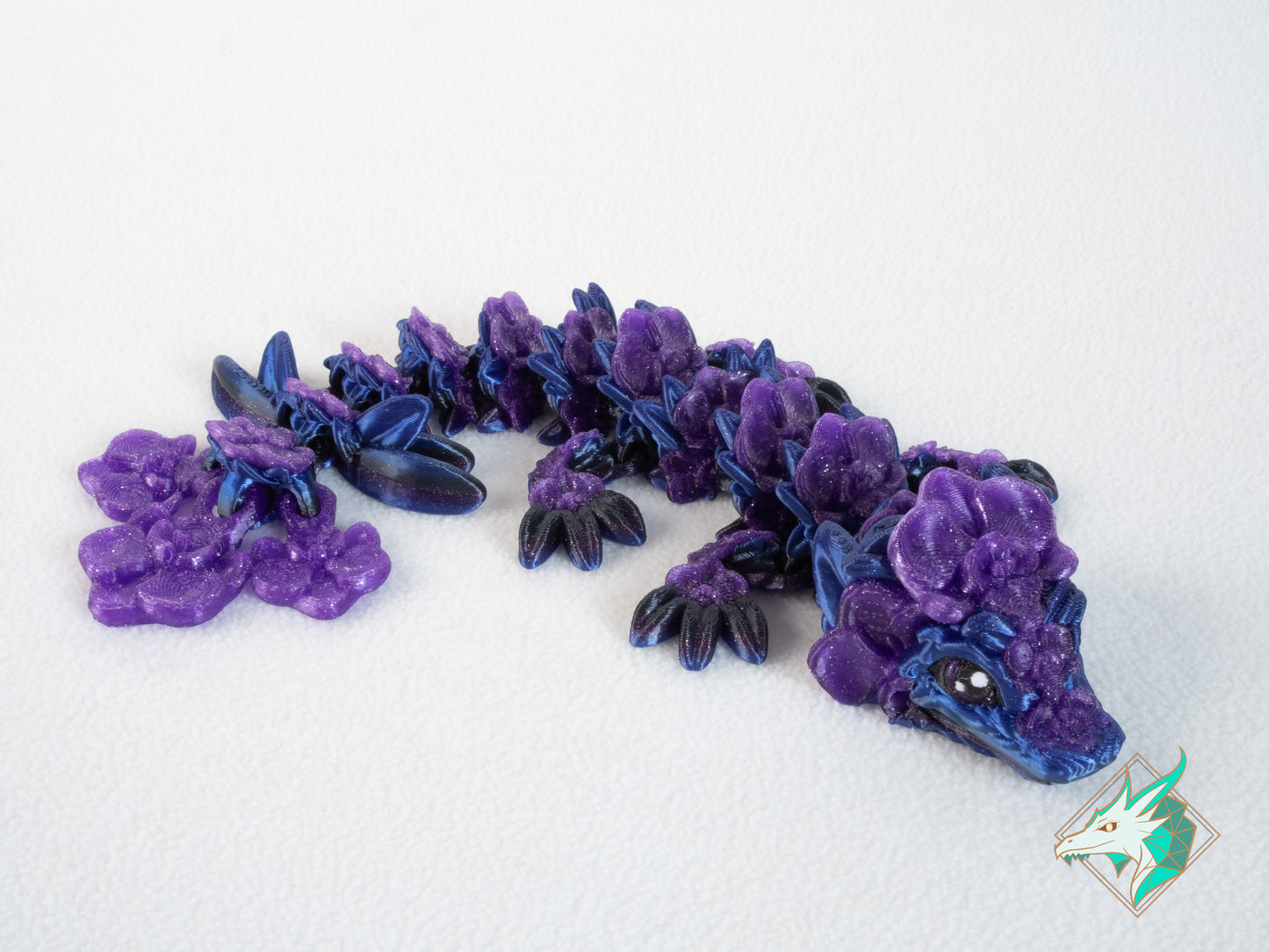 Orchideeën Draak - Baby & Jong