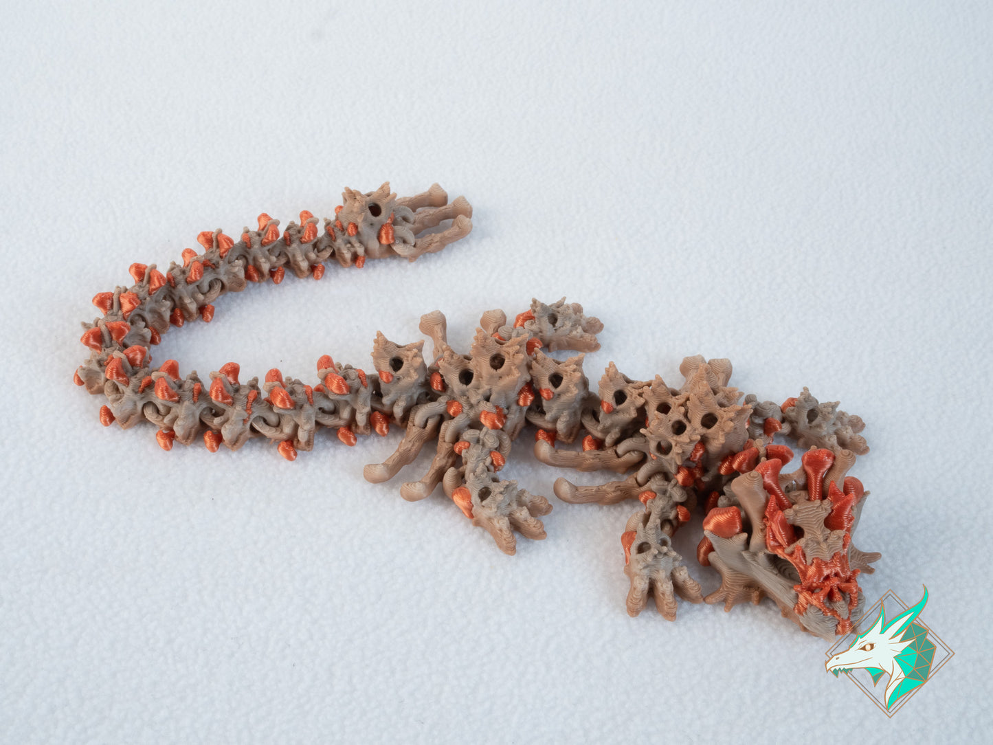 Dragon Crâne - Bébé et Jeune