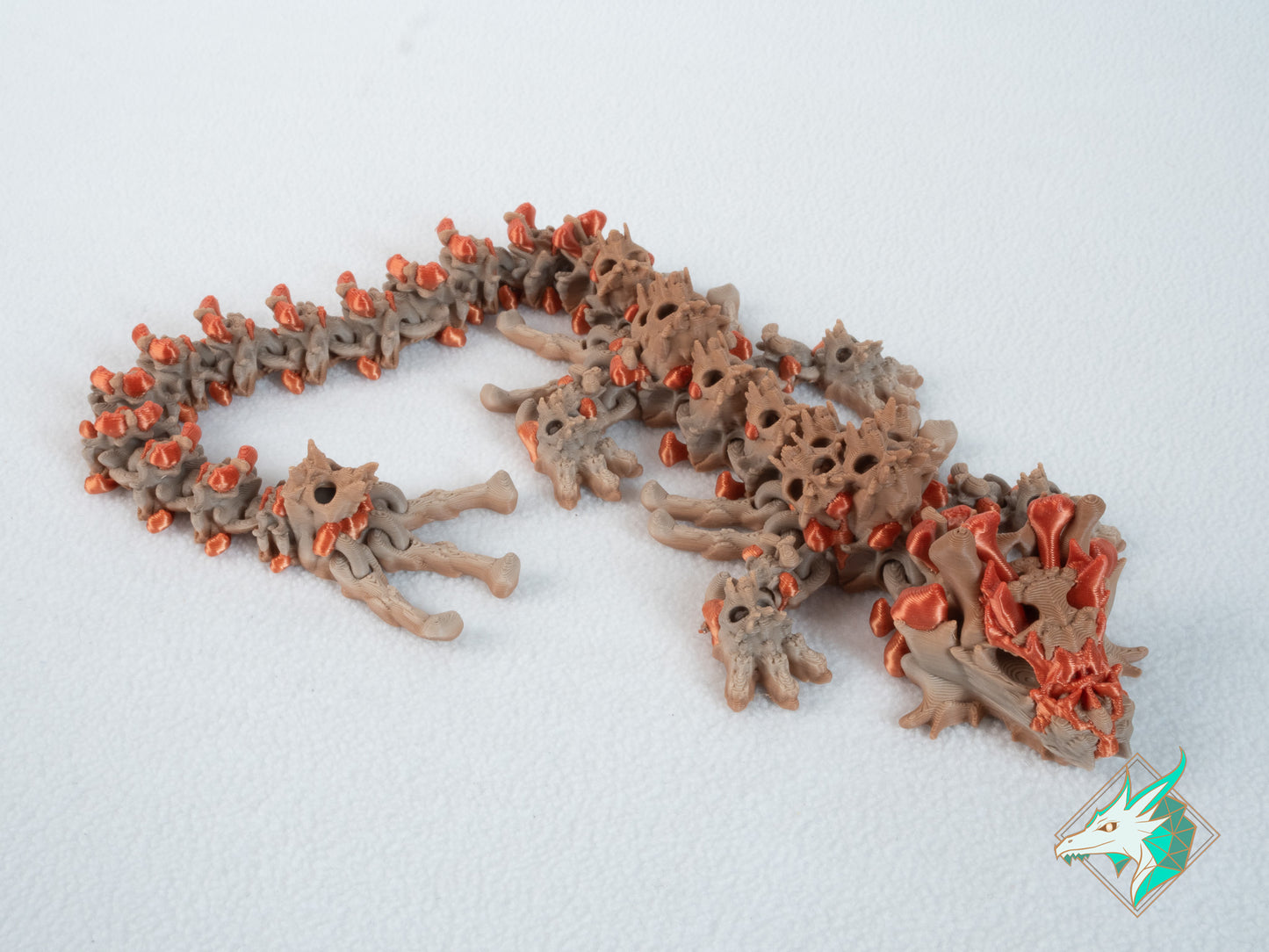 Dragon Crâne - Bébé et Jeune