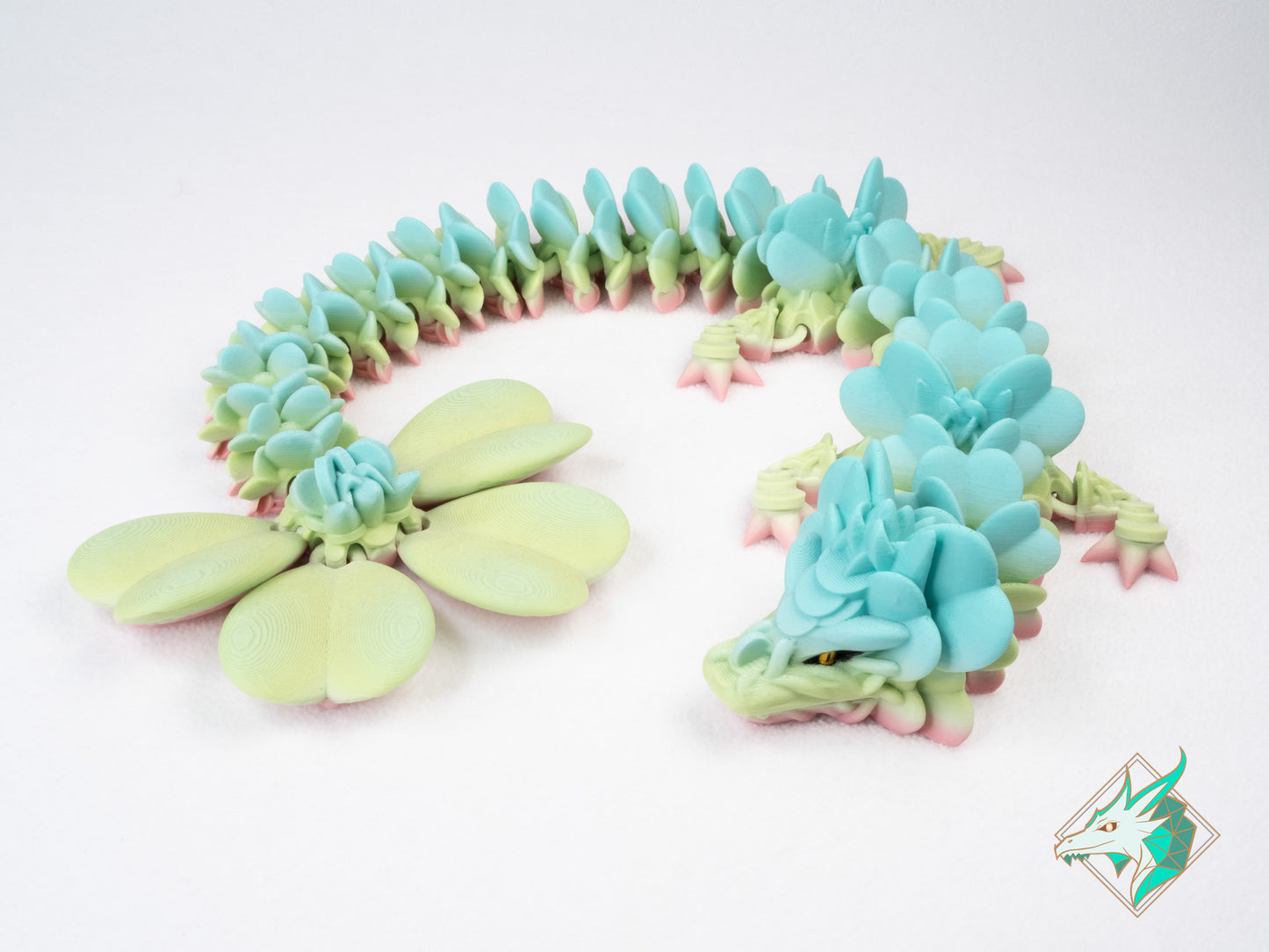 Dragon Trèfle - Adulte