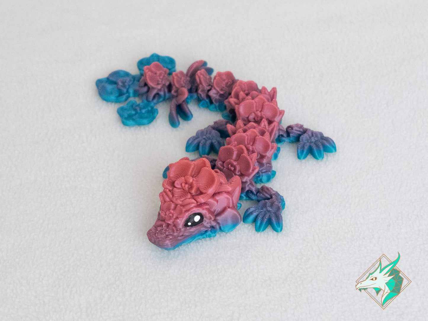 Orchideeën Draak - Baby & Jong