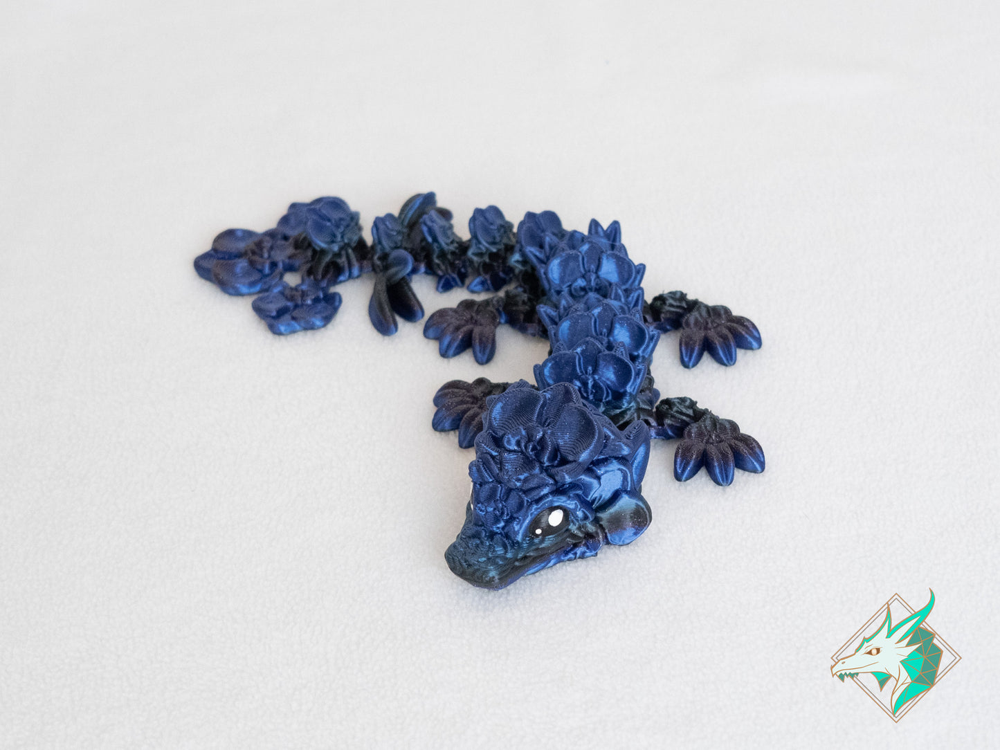 Orchideeën Draak - Baby & Jong