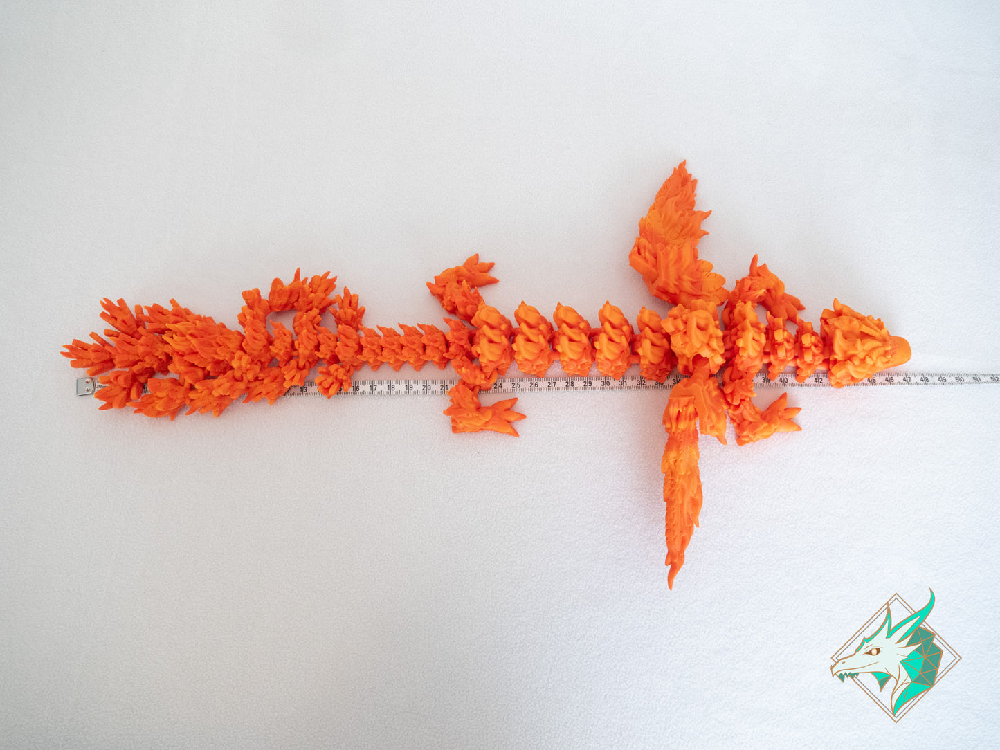 Dragon Phénix - Adulte