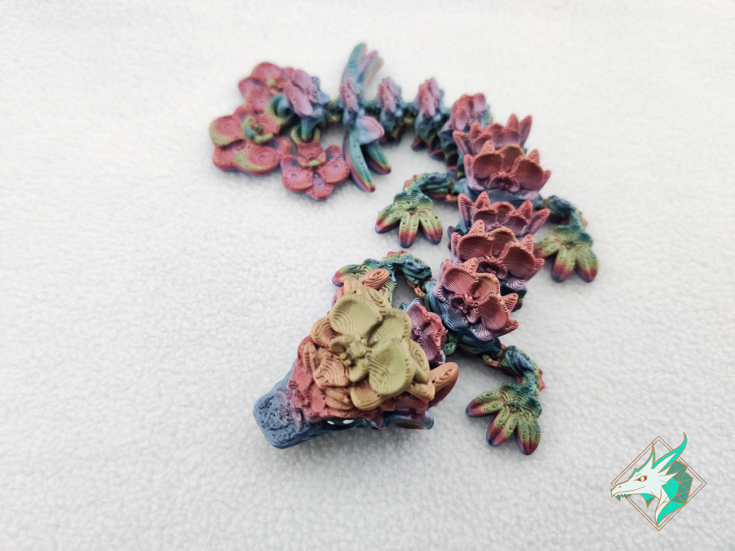 Orchideeën Draak - Baby & Jong