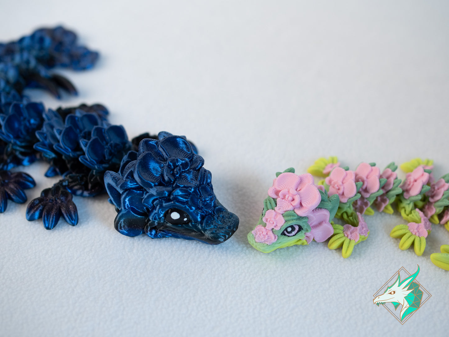 Orchideeën Draak - Baby & Jong