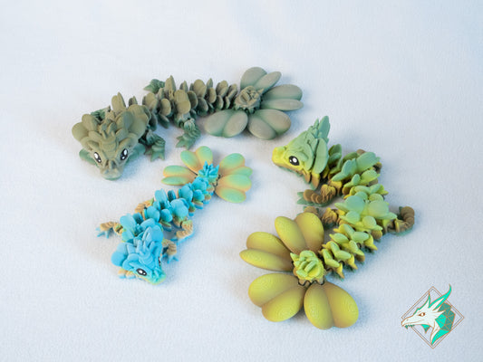 Dragon du trèfle - Bébé et Jeune