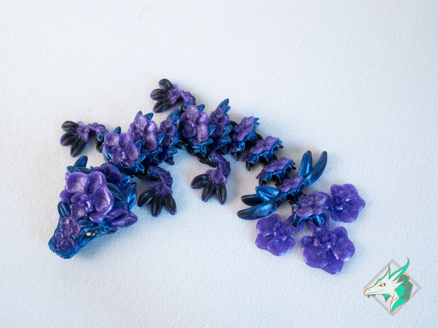 Orchideeën Draak - Baby & Jong