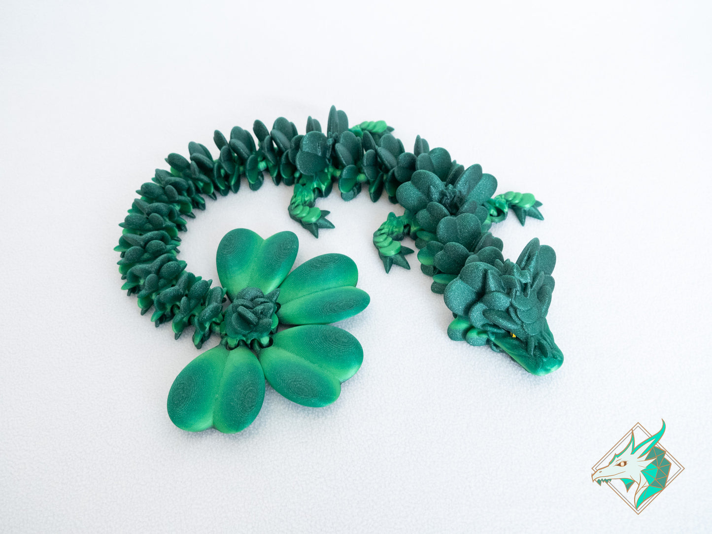 Dragon Trèfle - Adulte