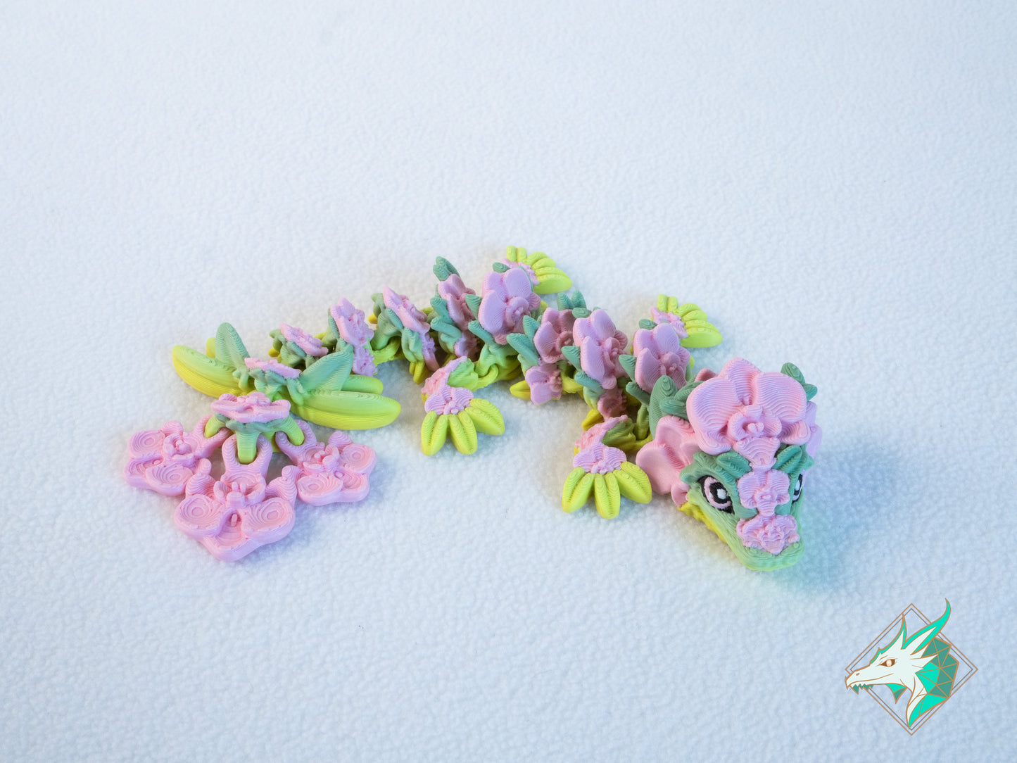 Orchideeën Draak - Baby & Jong