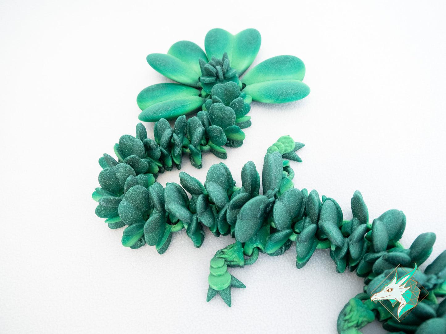 Dragon Trèfle - Adulte