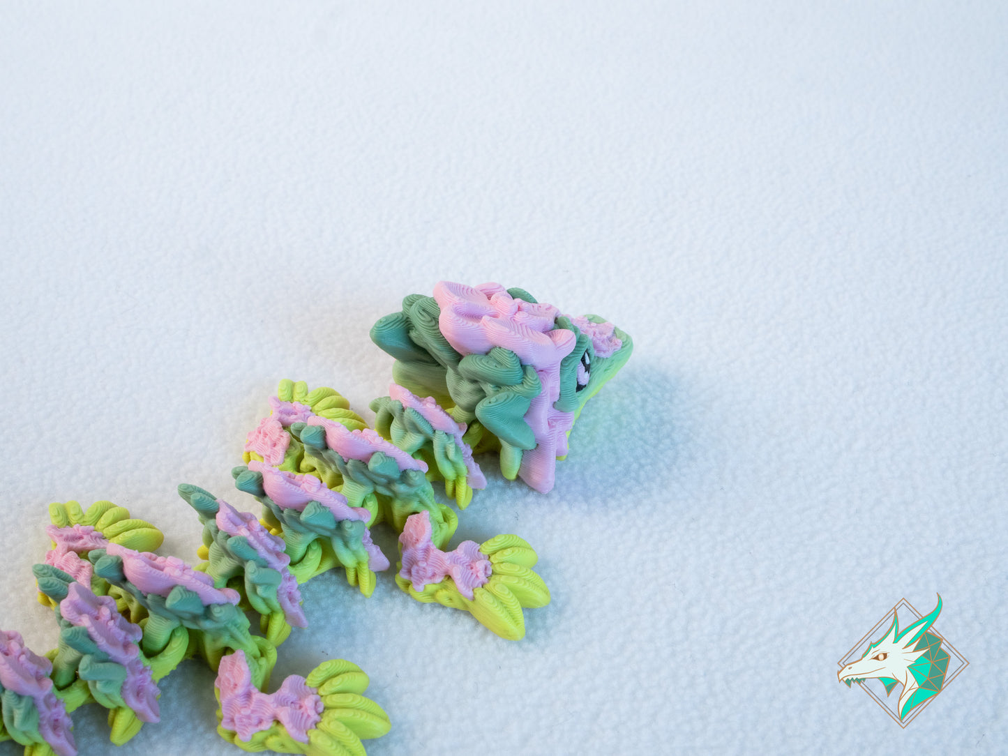 Orchideeën Draak - Baby & Jong