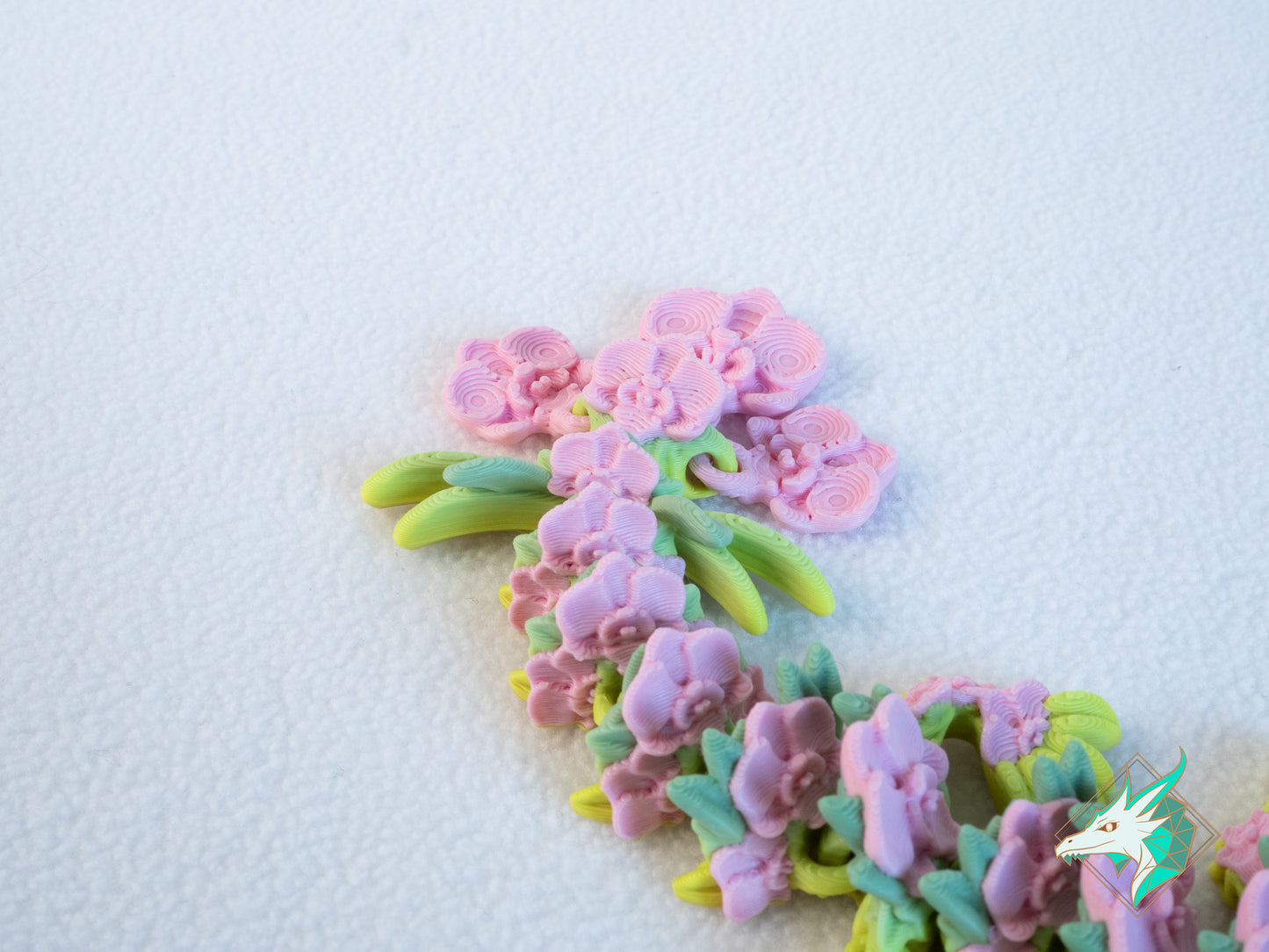 Orchideeën Draak - Baby & Jong