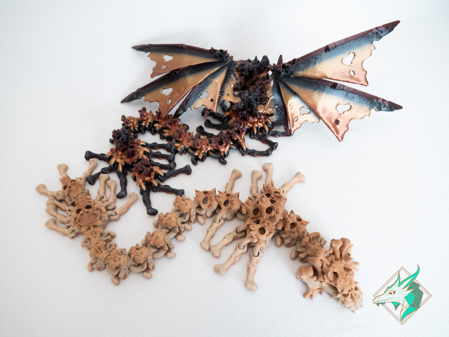 Dragon Crâne - Adulte