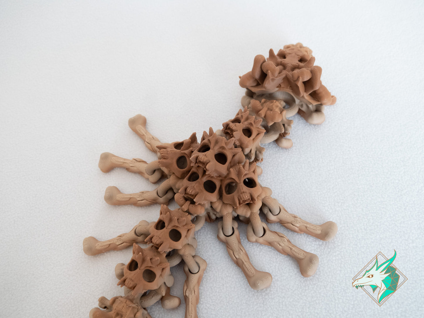 Dragon Crâne - Adulte