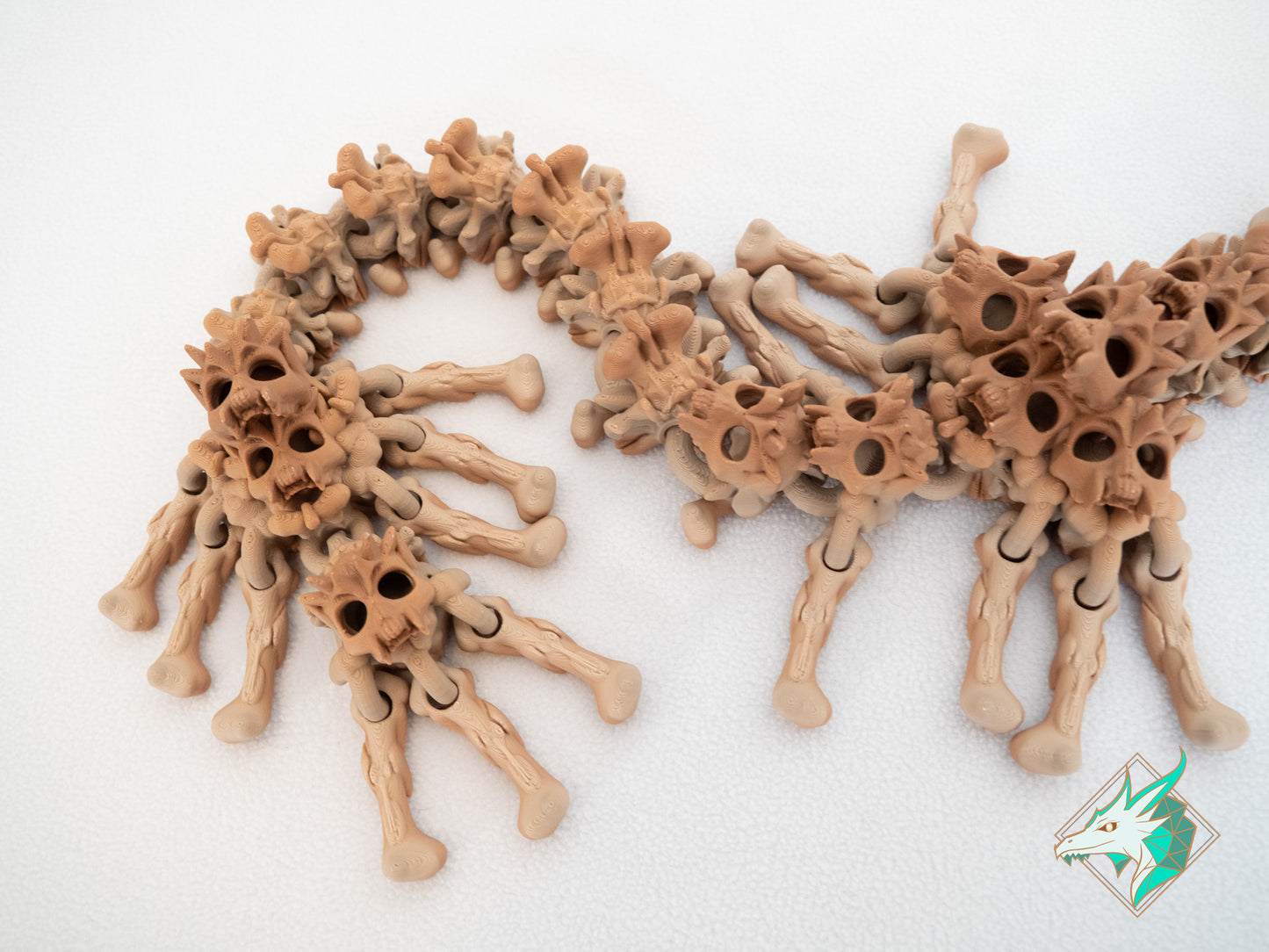 Dragon Crâne - Adulte