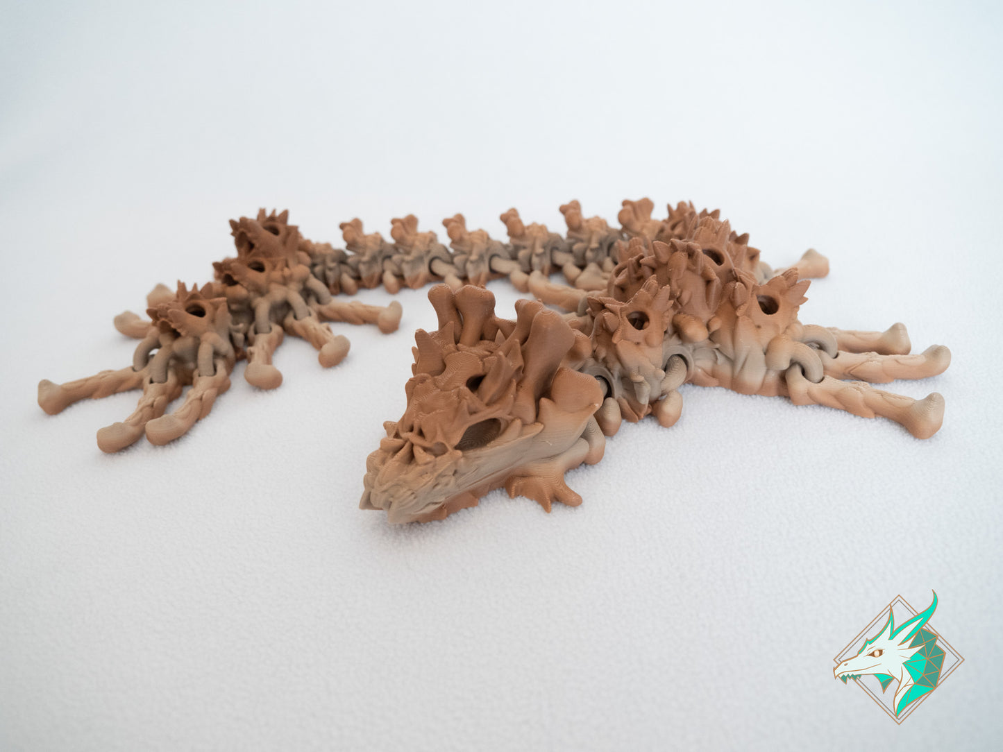 Dragon Crâne - Adulte