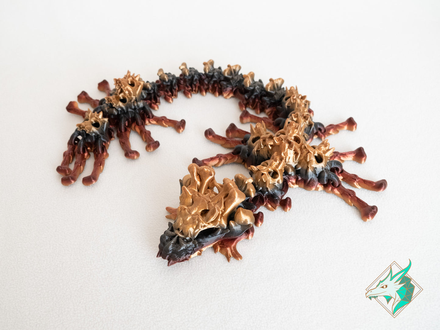 Dragon Crâne - Adulte