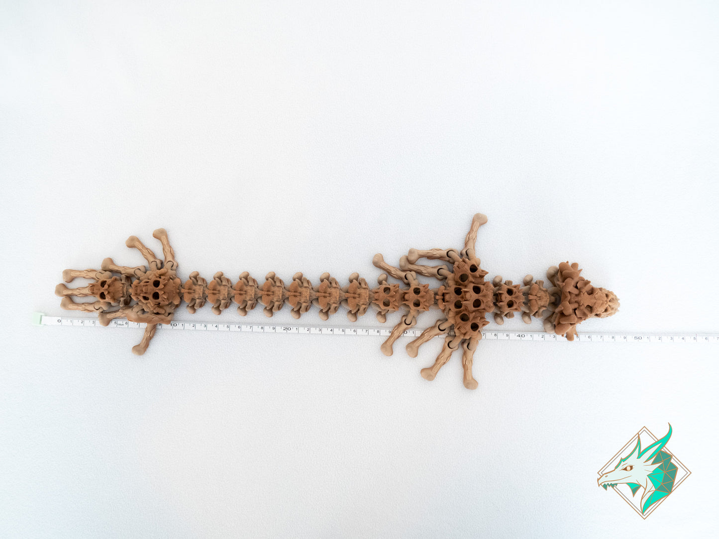 Dragon Crâne - Adulte