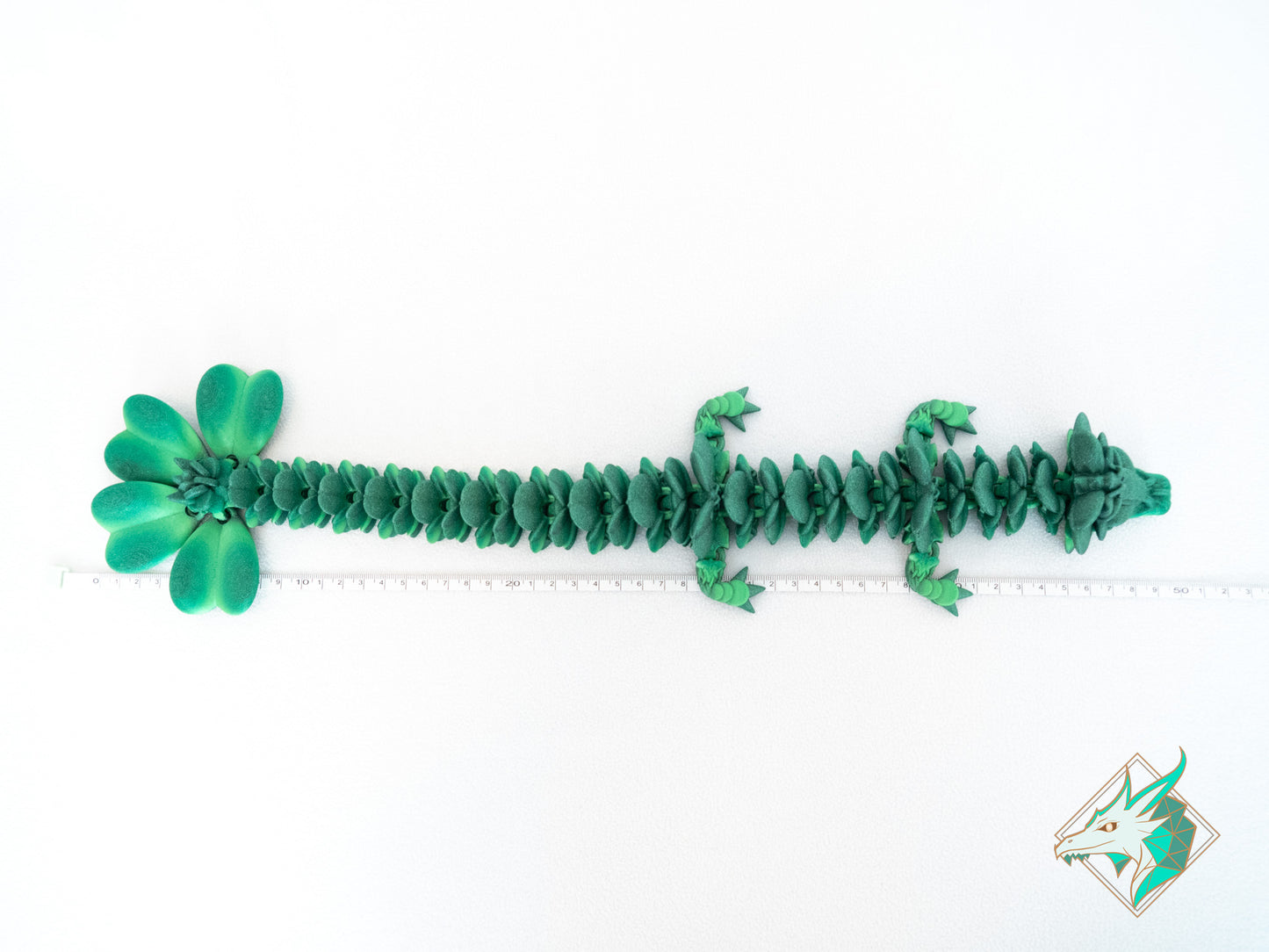 Dragon Trèfle - Adulte