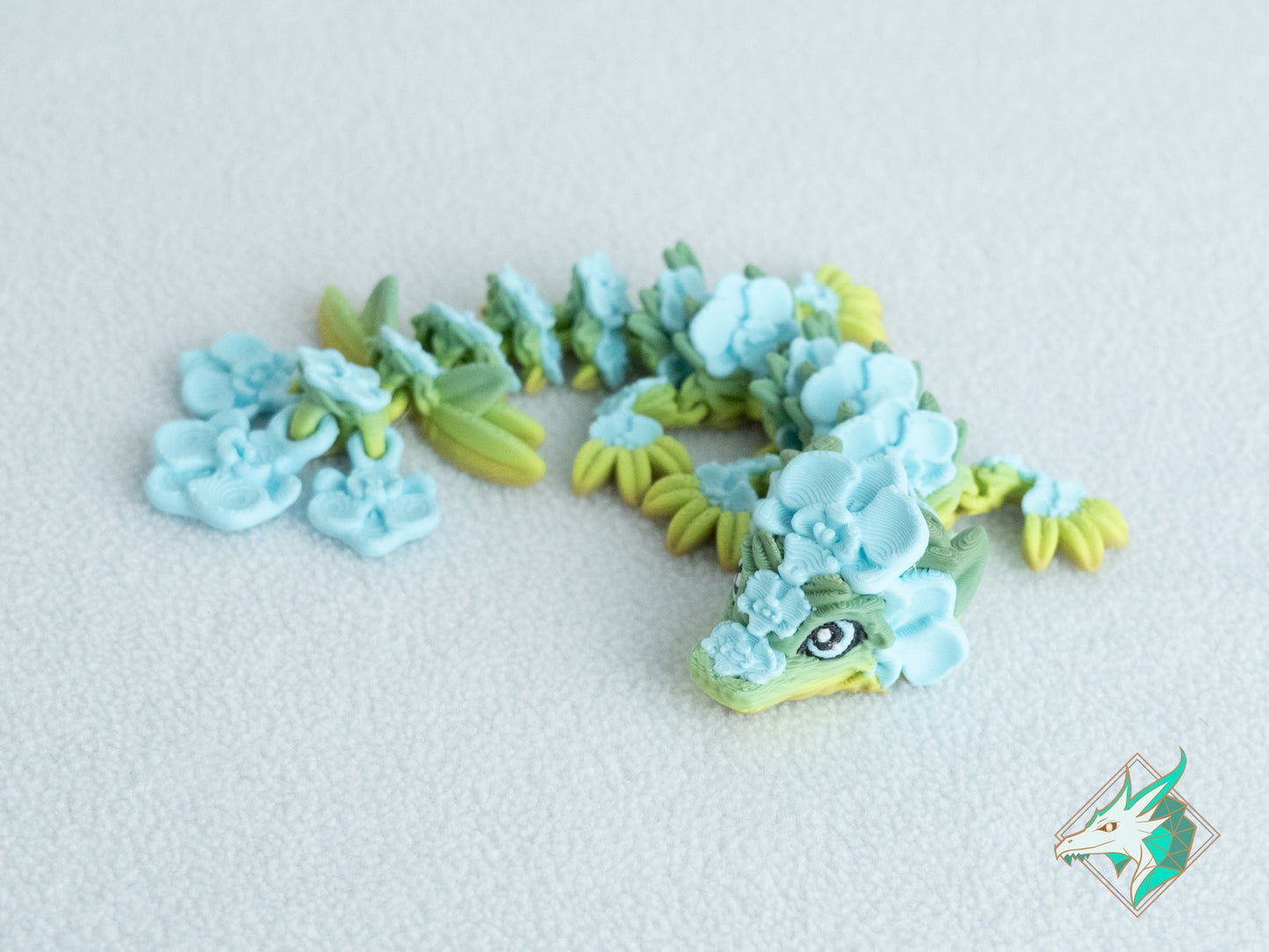 Orchideeën Draak - Baby & Jong