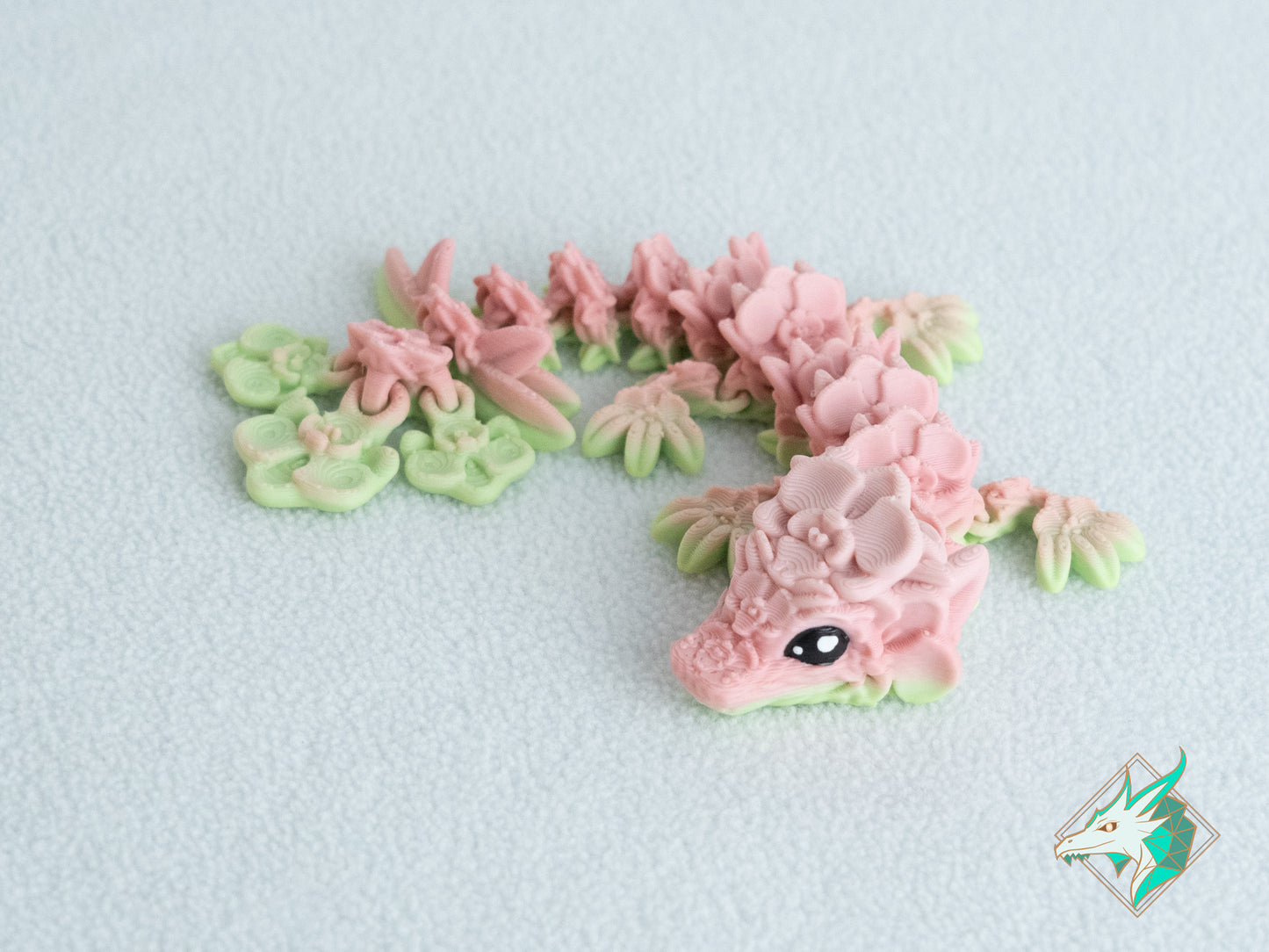 Orchideeën Draak - Baby & Jong