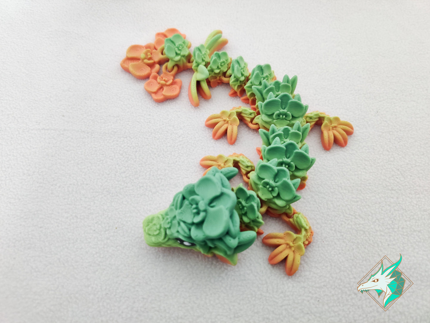 Orchideeën Draak - Baby & Jong