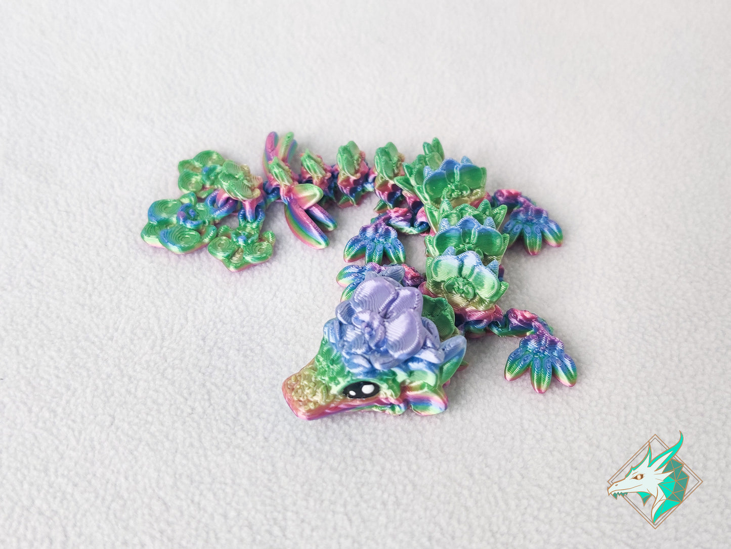 Orchideeën Draak - Baby & Jong