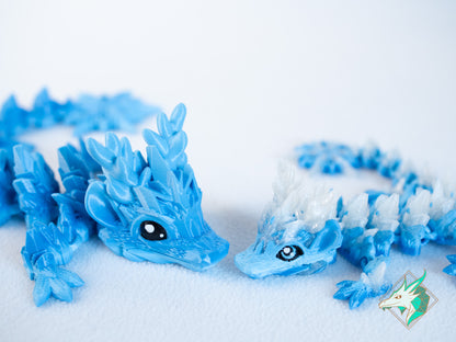 Winter Dragon - Baby & Young